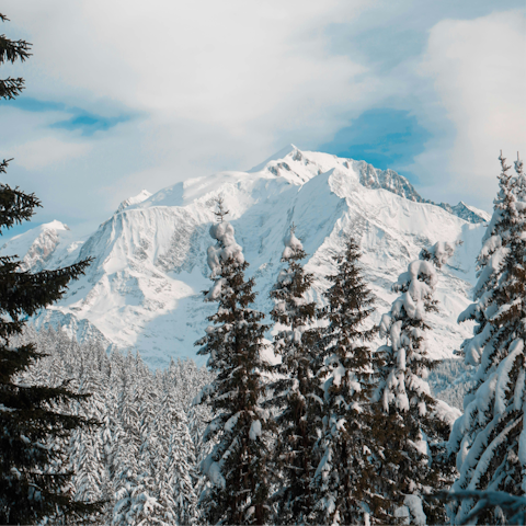 Enjoy an unforgettable mountain adventure in Combloux