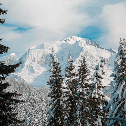 Enjoy an unforgettable mountain adventure in Combloux