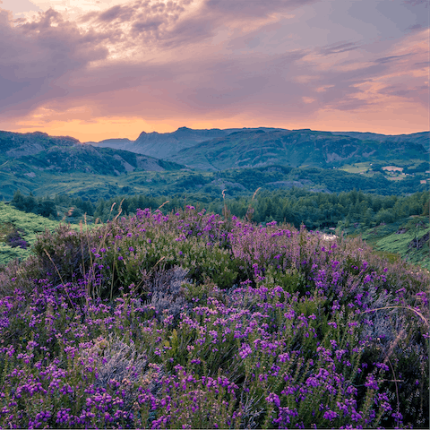 Hike up Holme Fell for saw-inspiring views over the Lake District