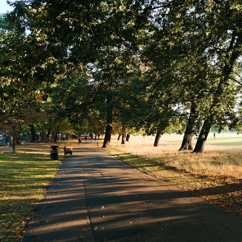 Stroll around Clissold Park – it's just a short walk away