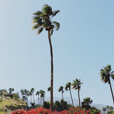 Explore Downtown Palm Springs – a short four-minute drive away