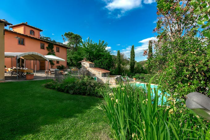 Tuscan Harvest