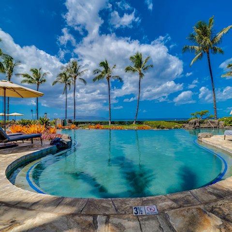 Make a splash in the communal pool