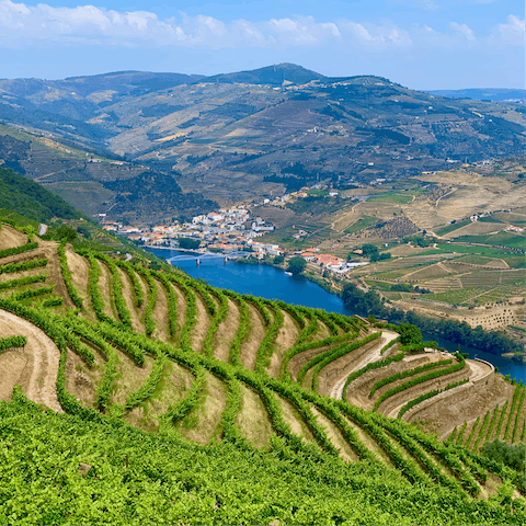 Head into the Douro Valley on a boat trip, making stops for Port wine and olive oil tastings
