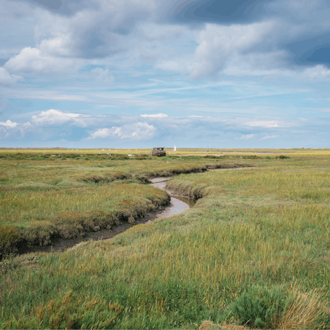 Pull on your walking boots to explore the hiking trails in your AONB