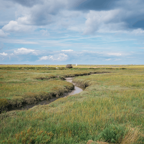 Pull on your walking boots to explore the hiking trails in your AONB
