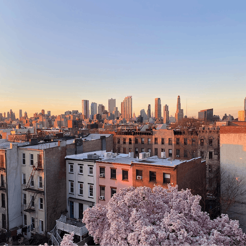 Explore the coffee shops and tree-lined streets of the Clinton Hill neighbourhood