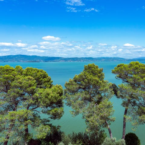 Enjoy a day of watersports at Lake Trasimeno, it's a forty-minute drive