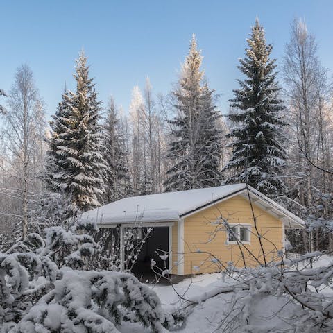 Wander through your very own winter wonderland