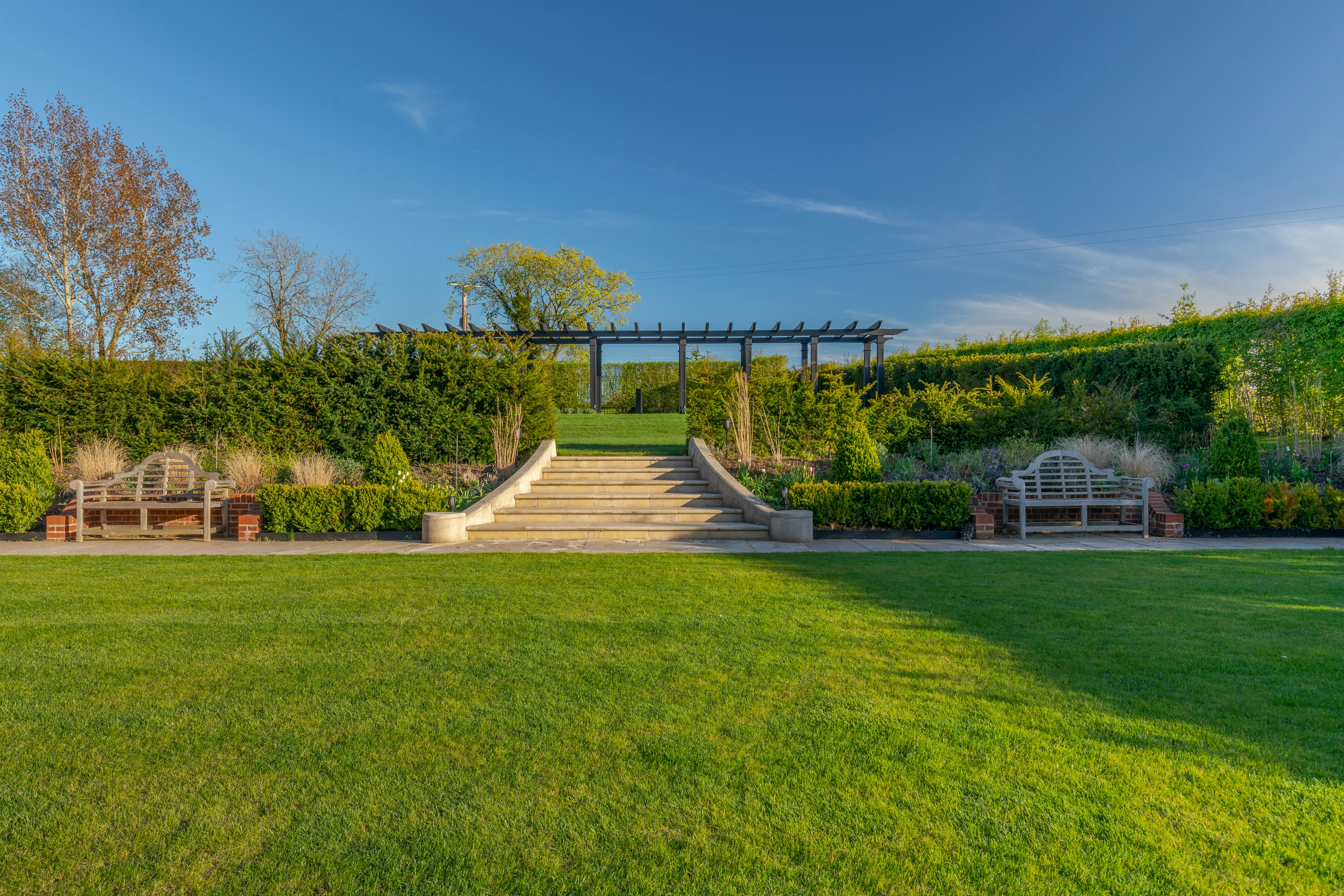 An East Anglian Vineyard