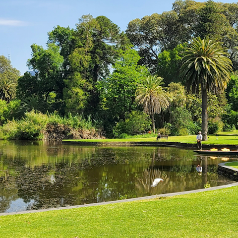 Stroll to Melbourne's Royal Botanic Gardens