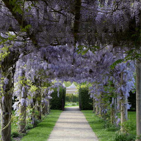 Take a long walk through nearby Trent Park
