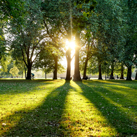 Experience the magic of London from Hyde Park