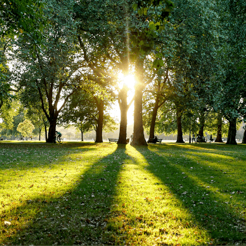 Experience the magic of London from Hyde Park