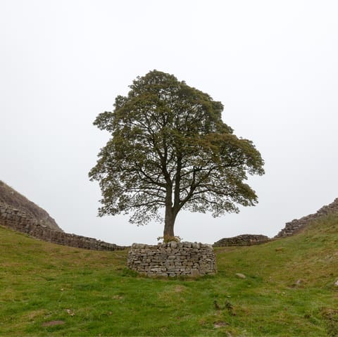 Explore Hexham and the stunning countryside of Northumberland