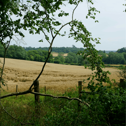 Put on your hiking boots and explore the Surrey countryside