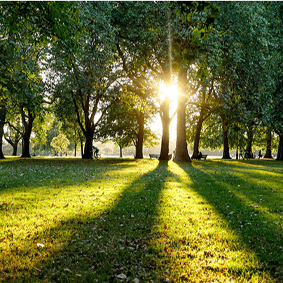 Enjoy a refreshing stroll through beautiful Hyde Park