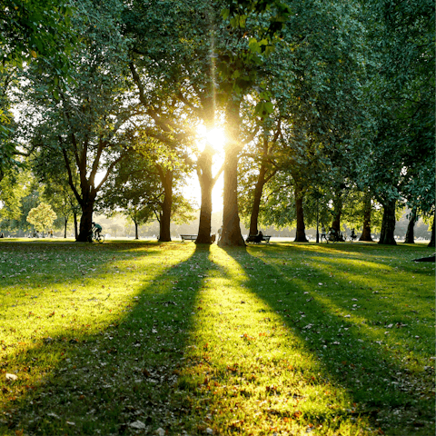 Step outside and soak up the magic of London from Hyde Park