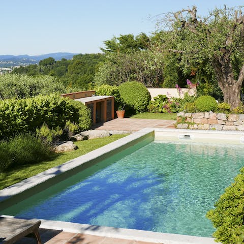 Dive straight into the refreshing pool