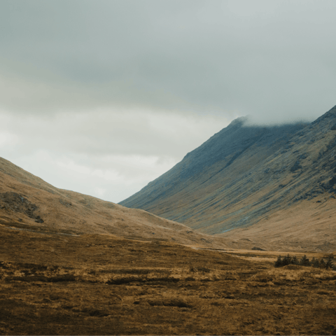 Lace up your hiking boots and explore the beautiful walks nearby