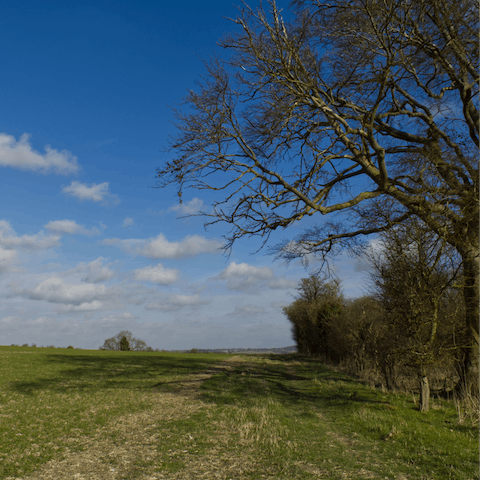 Explore the Chiltern Hills, less than a fifteen-minute drive away