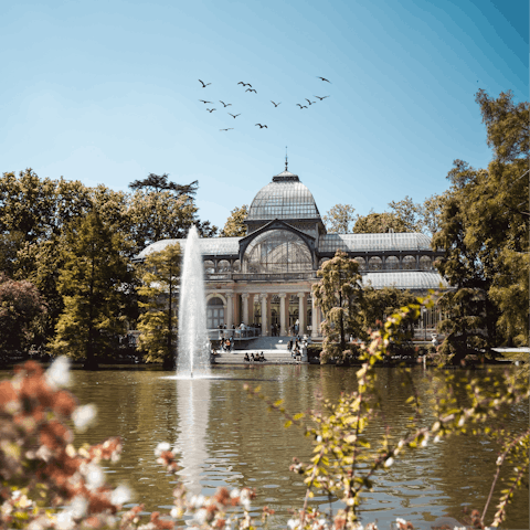 Walk fifteen minutes to El Retiro Park for a picnic