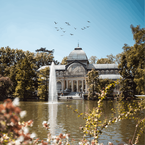 Walk fifteen minutes to El Retiro Park for a picnic