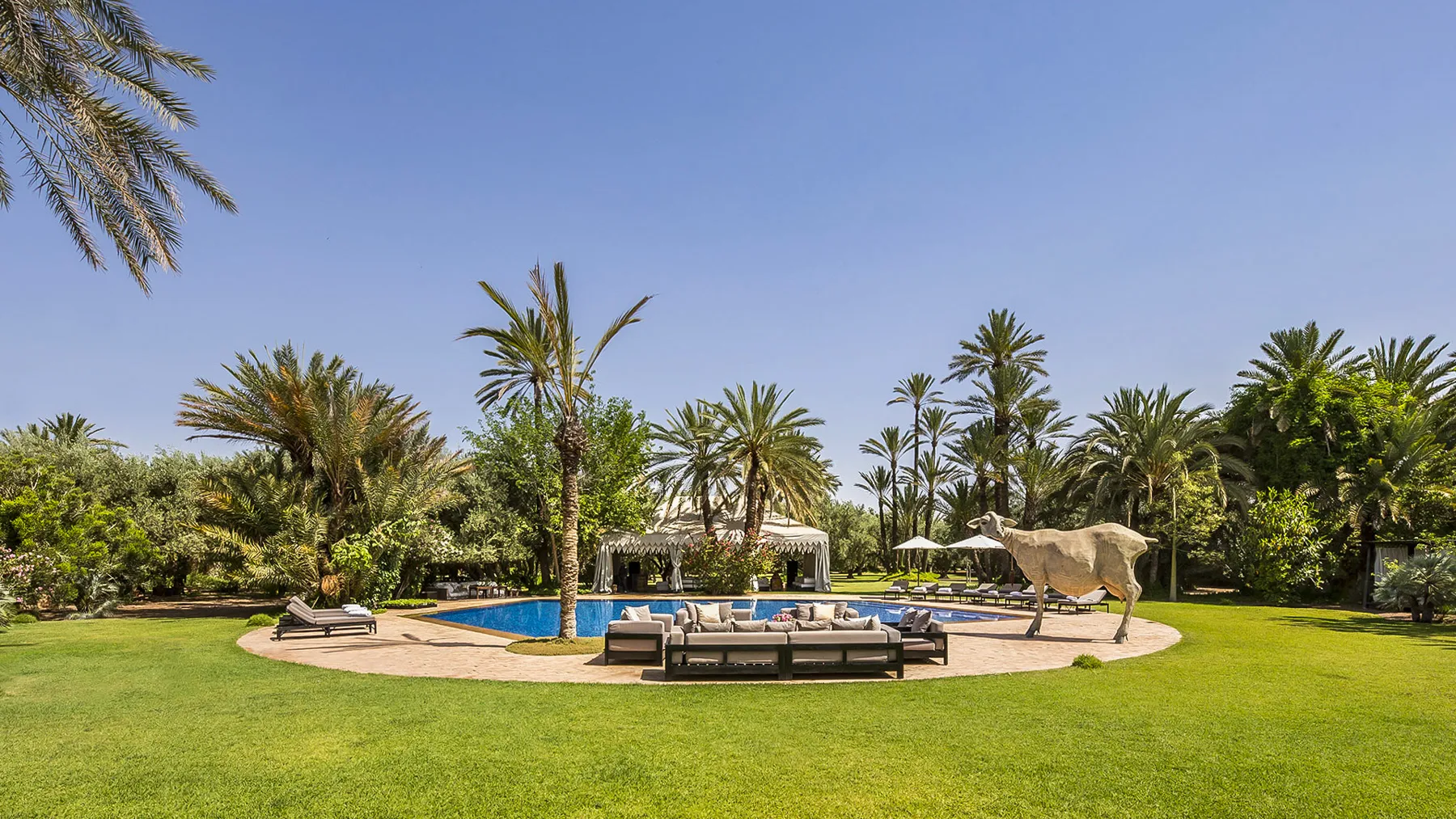 Azure Terrace Breeze