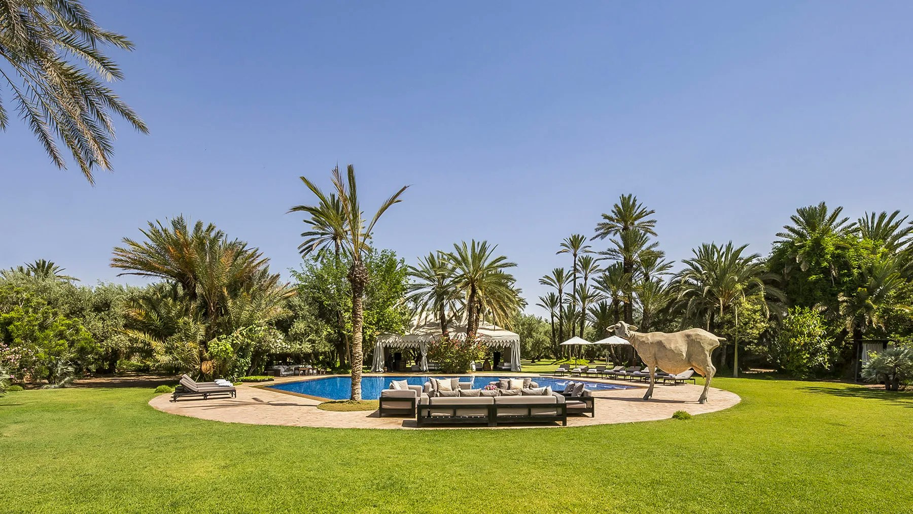 Azure Terrace Breeze