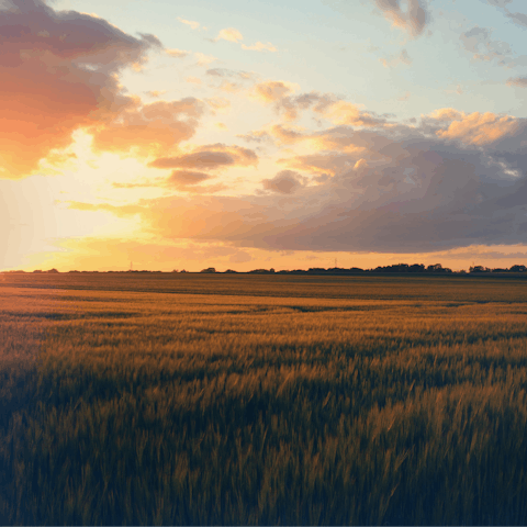 Enjoy your stay surrounded by the tranquil beauty of the French countryside