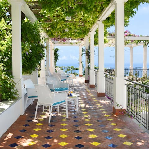 Find a shaded spot beneath the grapevines to while away the day