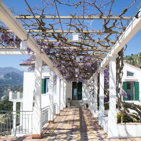 Wander wisteria-clad walkways between terraces