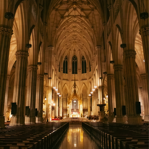 Step inside the Basilica of St Patrick's Old Cathedral