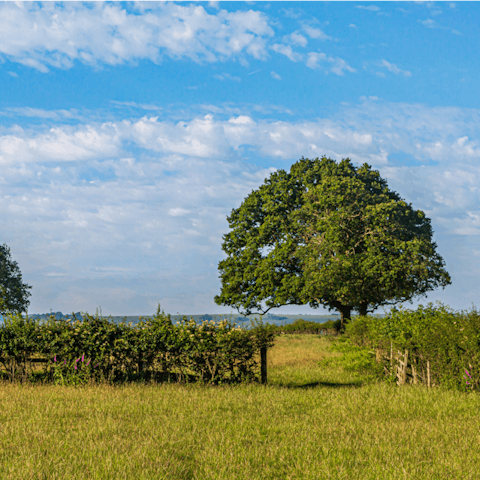Explore the bucolic beauty of Chiltern Hills AONB, starting three minutes' drive away