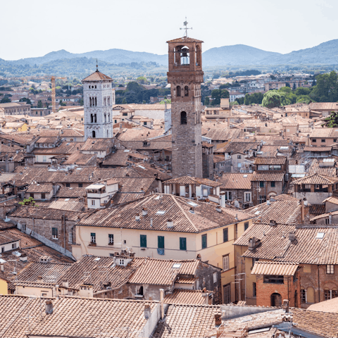 Explore all that Lucca has to offer, including nearby Piazza dell'Anfiteatro