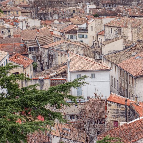 Drive thirty minutes to Avignon to explore its historic old town