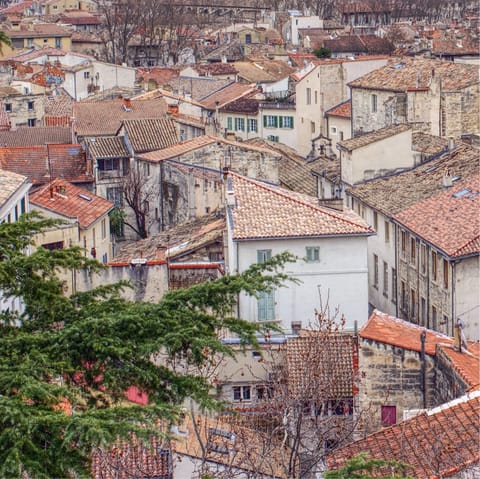 Drive thirty minutes to Avignon to explore its historic old town