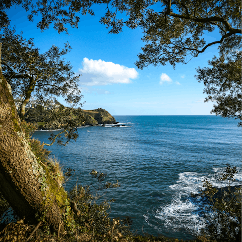 Take the ferry (under a fifteen-minute ride) from Polruan Harbour to Fowey