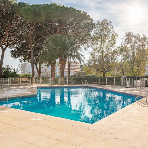 Cool off from the French sun in the shared swimming pool