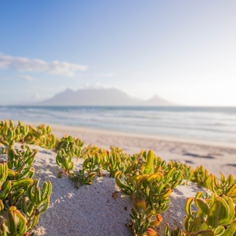 Spend leisurely days relaxing on Mouille Point Beach