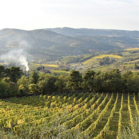 Enjoy exploring the nearby Chianti wine region