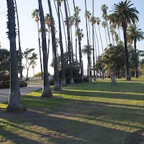 Walk the cliffs in Palisades Park