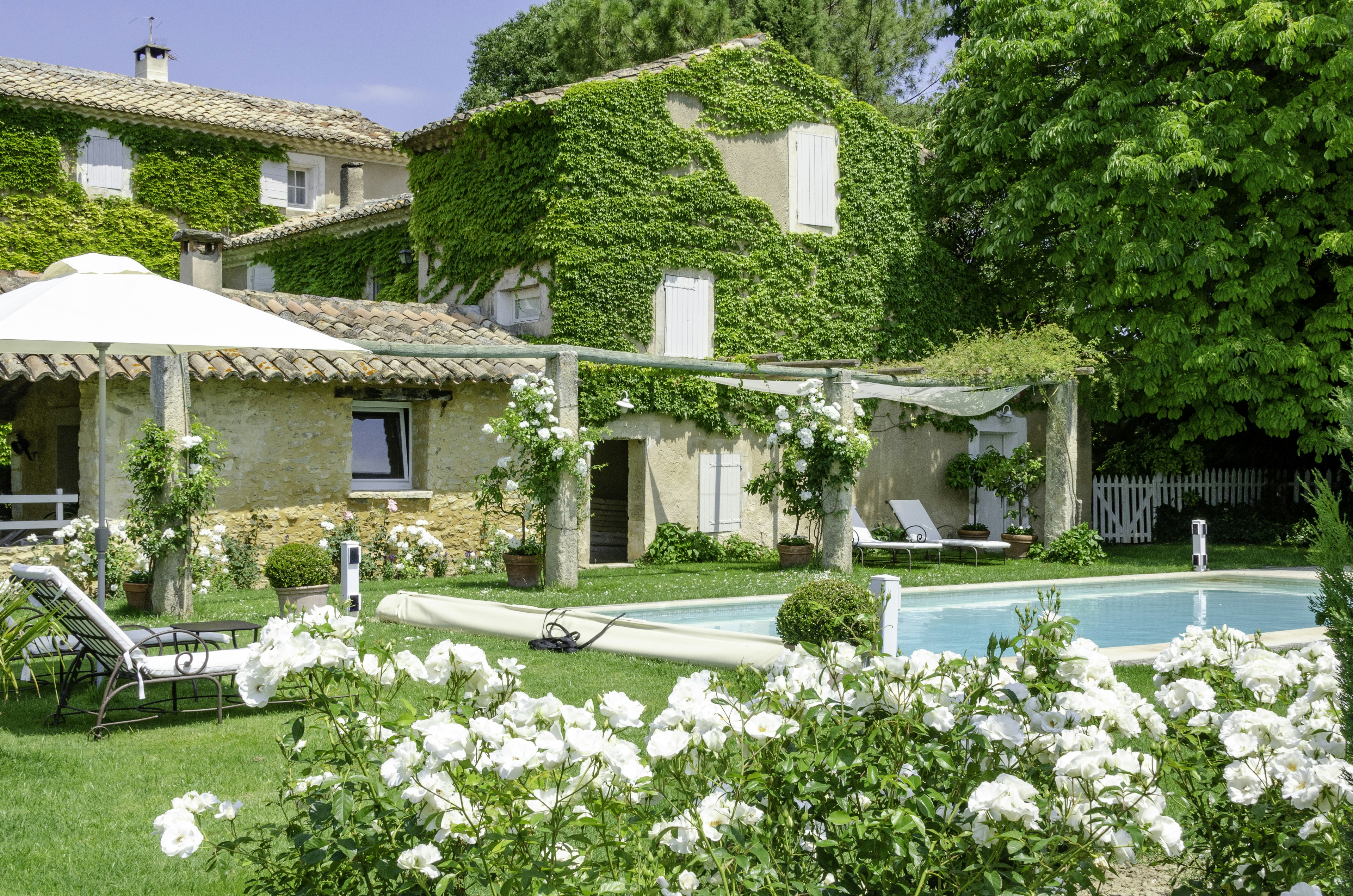 Olive Oil & Luberon Light