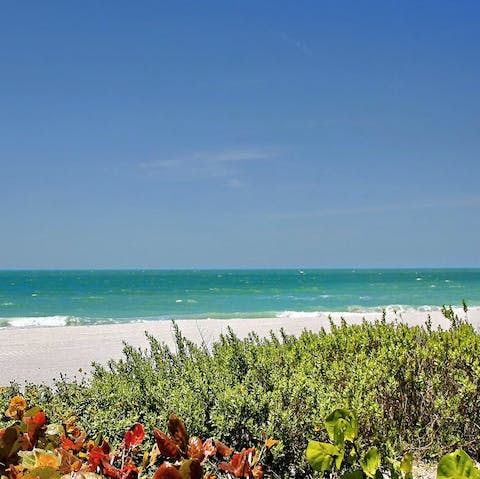 Discover the natural beauty of Casey Key – the hidden gem of Sarasota