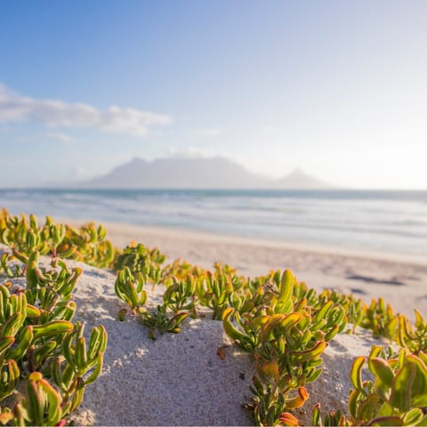 Drive over to the golden beaches that line the nearby stretch of coastline