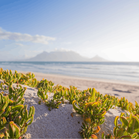 Drive over to the golden beaches that line the nearby stretch of coastline