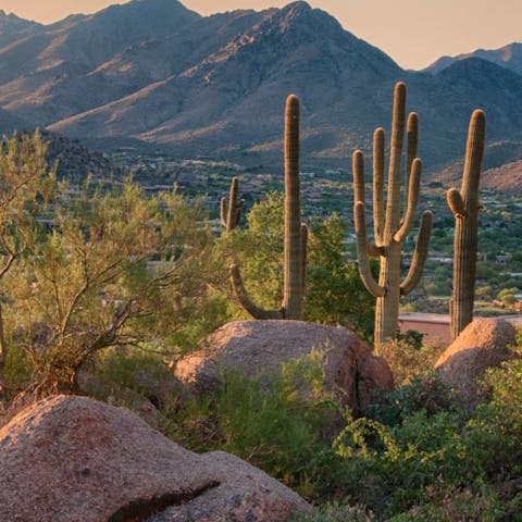 Explore Thunderbird Conservation Park, right from your doorstep