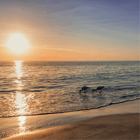 Make your way down to the beach, right at the end of the street