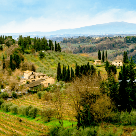 Guests thought the location was perfect, as it was close to restaurants, bars, and shops, and offered stunning views of the Tuscan countryside.
