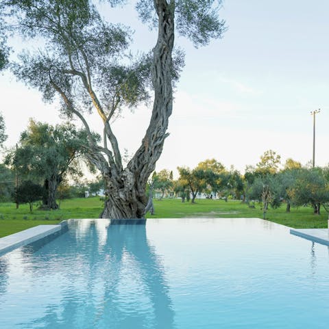 Float the day away in the infinity-edge pool and completely relax
